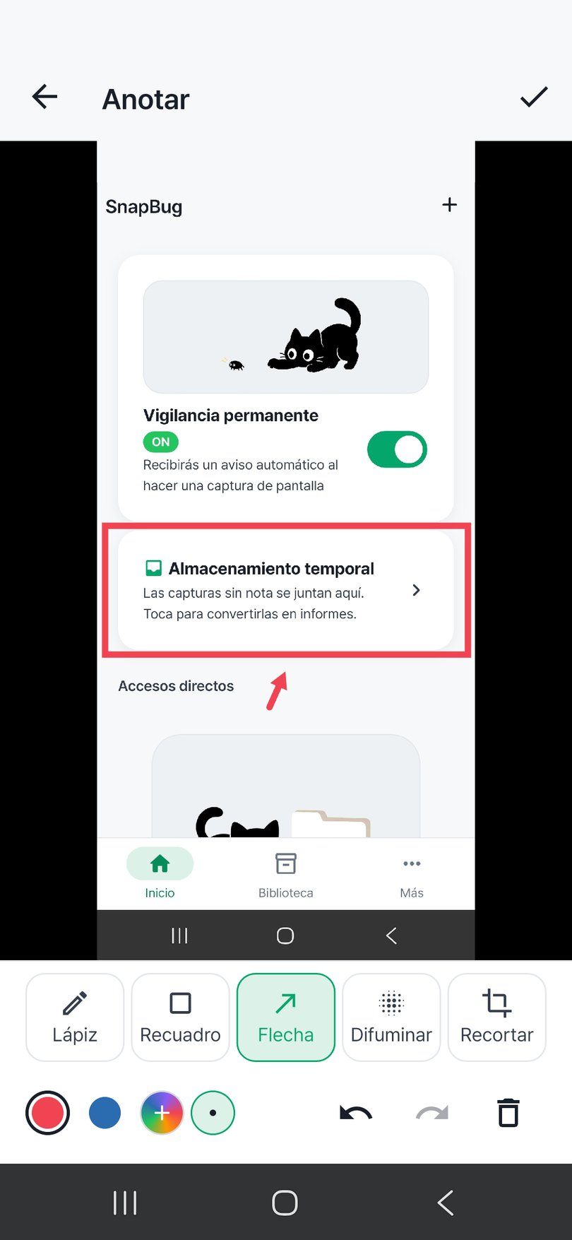 Editor de anotaciones